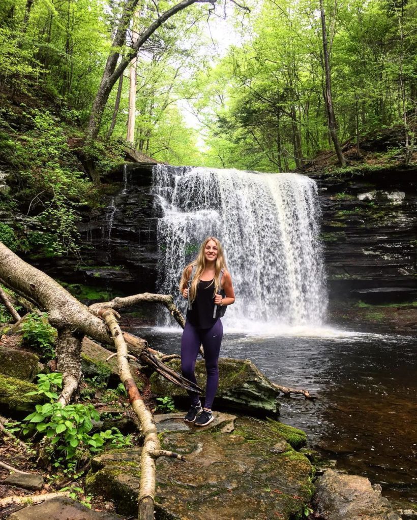 are dogs allowed in ricketts glen state park