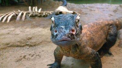 463773937_8521403281270175_4858027520002689603_n